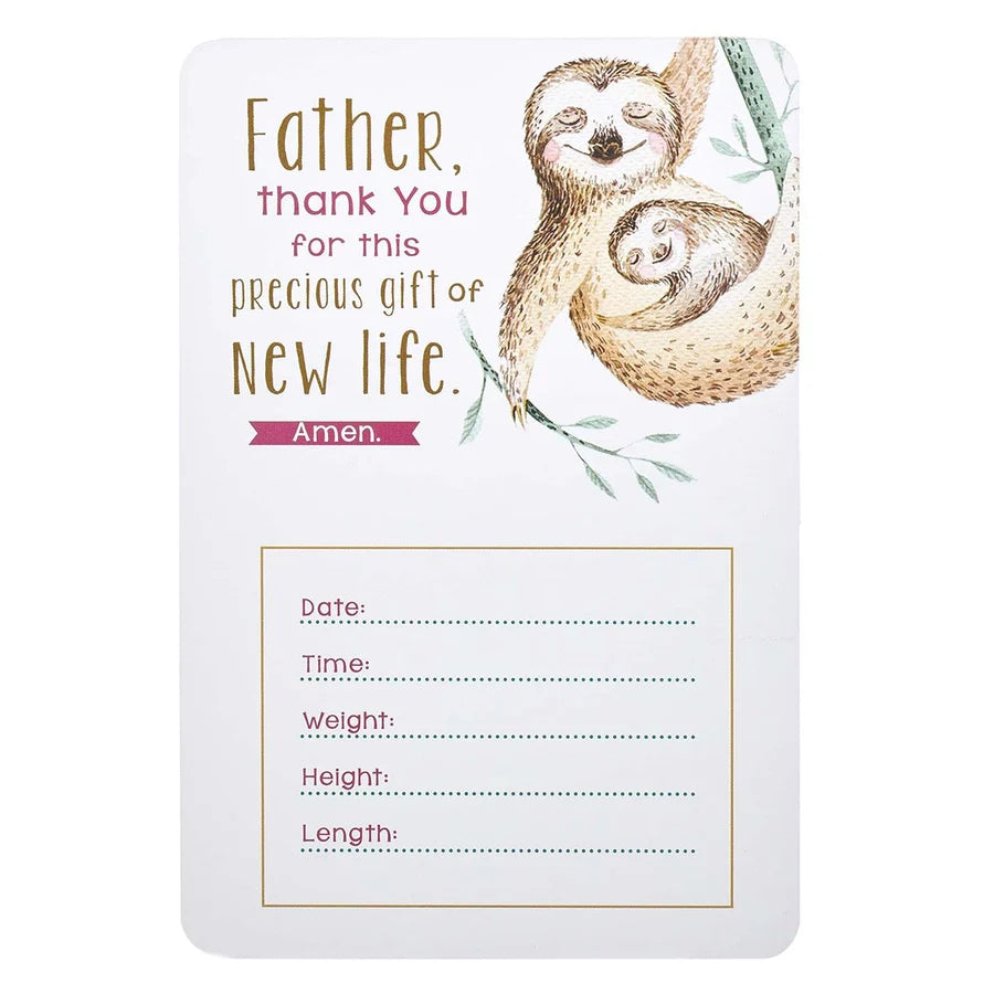 My Baby Girl's Milestones (Boxed Cards)