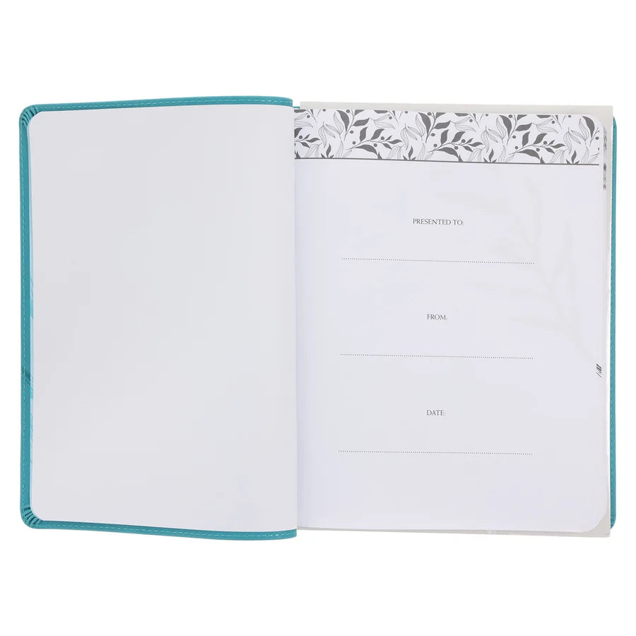 God's Mercy Grace and Compassion - MyDaily Devotional (Imitation Leather)