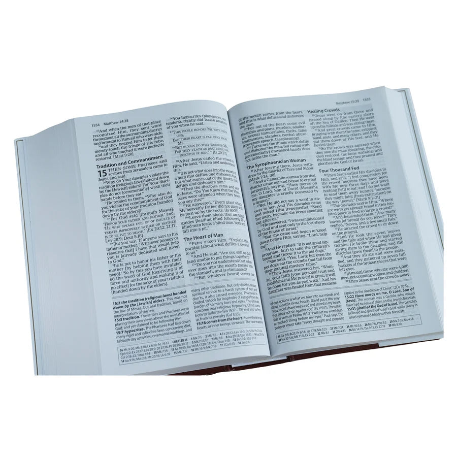 Amplified Study Bible Large Print (Hardcover)