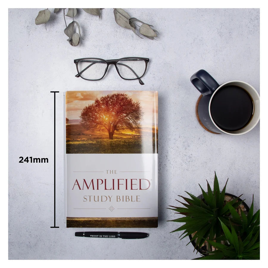 Amplified Study Bible Large Print (Hardcover)