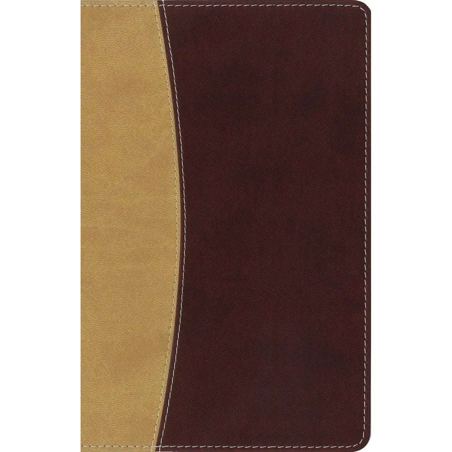 Amplified Compact Holy Bible Camel / Burgundy (Imitation Leather)