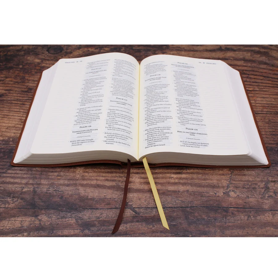 Amplified Brown Imitation Leather Journal the Word Bible