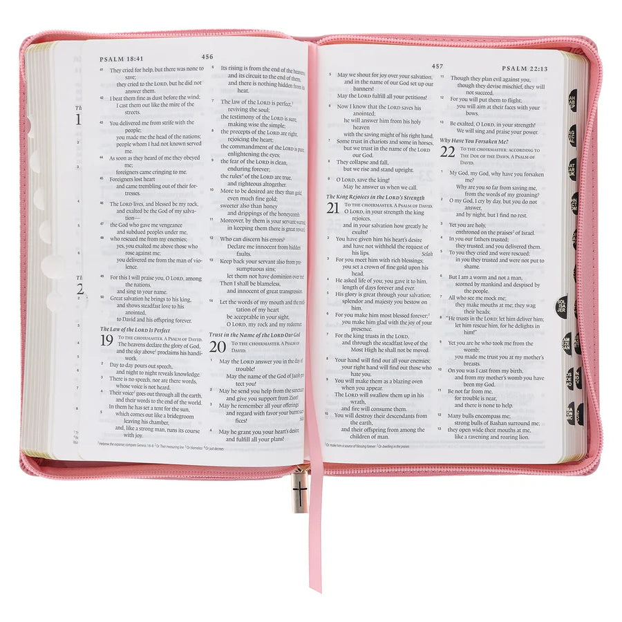 ESV Pink Floral Faux Leather Standard Bible with Zip