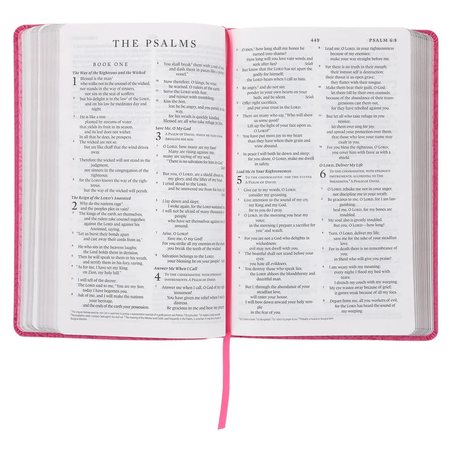 ESV Pink Vines Faux Leather Standard Bible