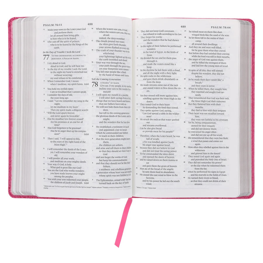 ESV Pink Vines Faux Leather Standard Bible