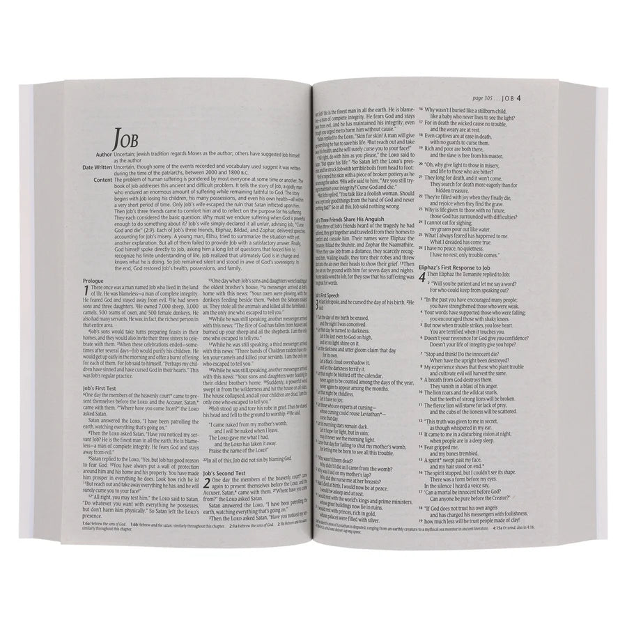 NLT Blue and Orange Watercolor Paperback Outreach Bible