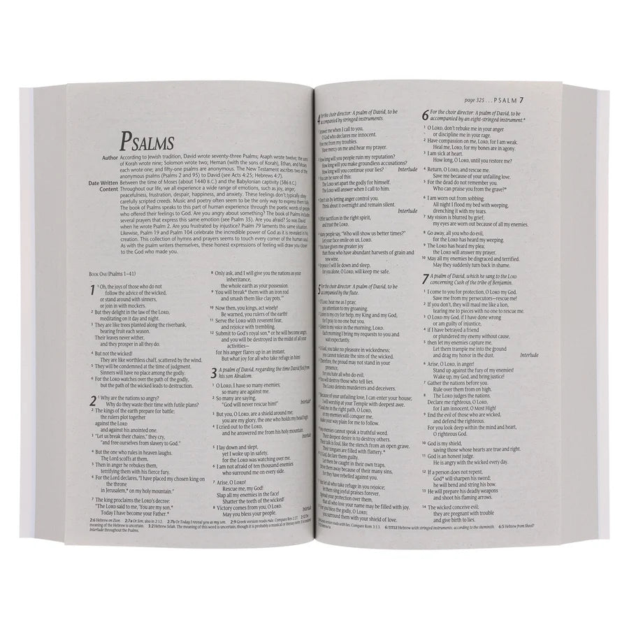 NLT Blue and Orange Watercolor Paperback Outreach Bible
