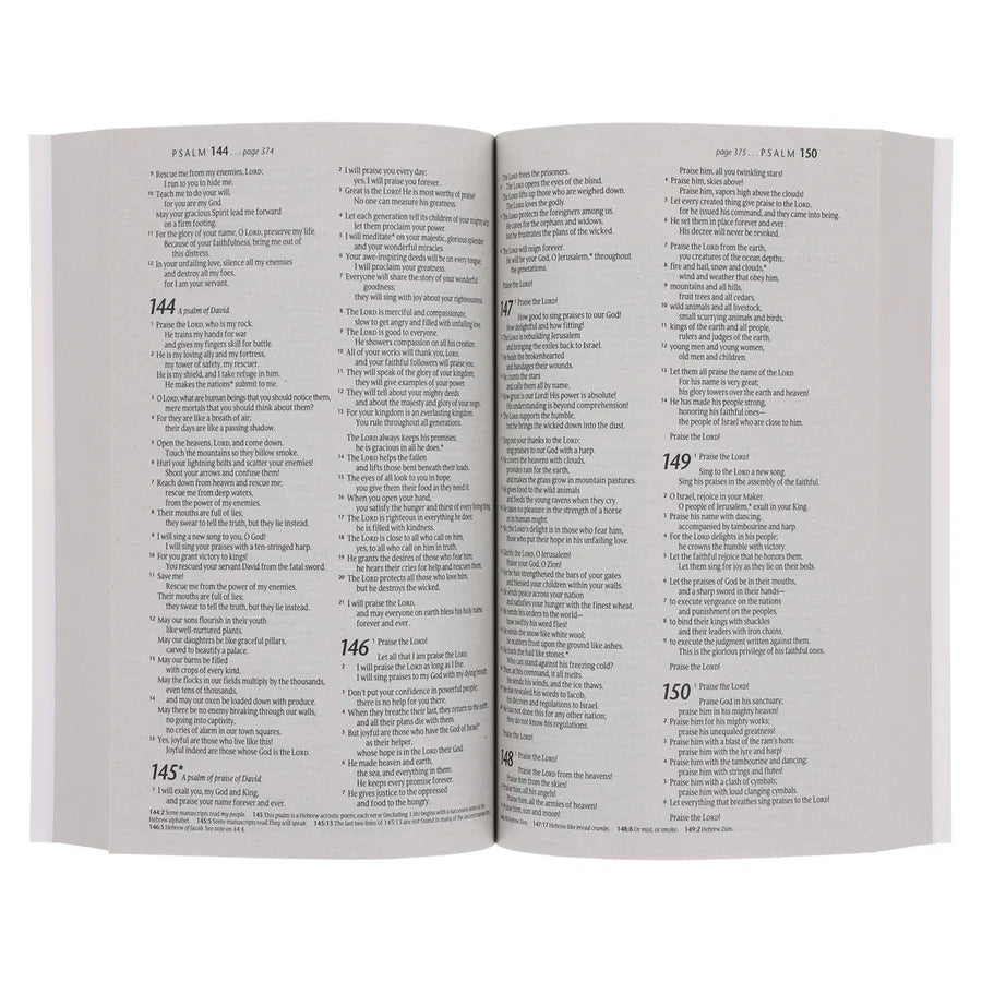 NLT Blue and Orange Watercolor Paperback Outreach Bible