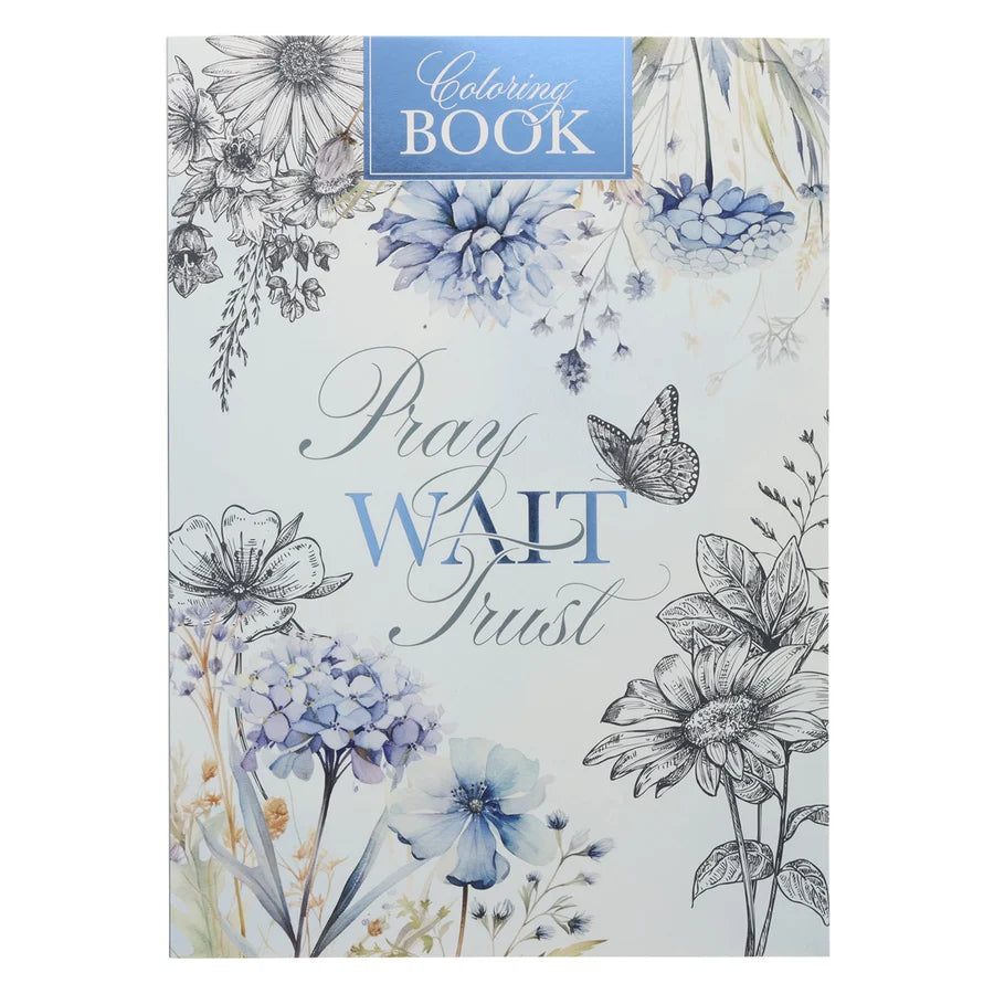 Pray Wait Trust Coloring Book (Paperback)