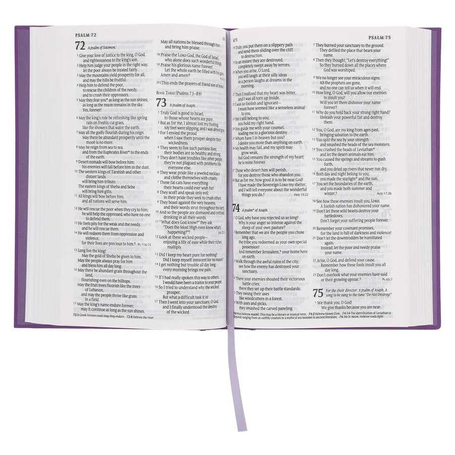 NLT Purple Hardcover Standard Bible