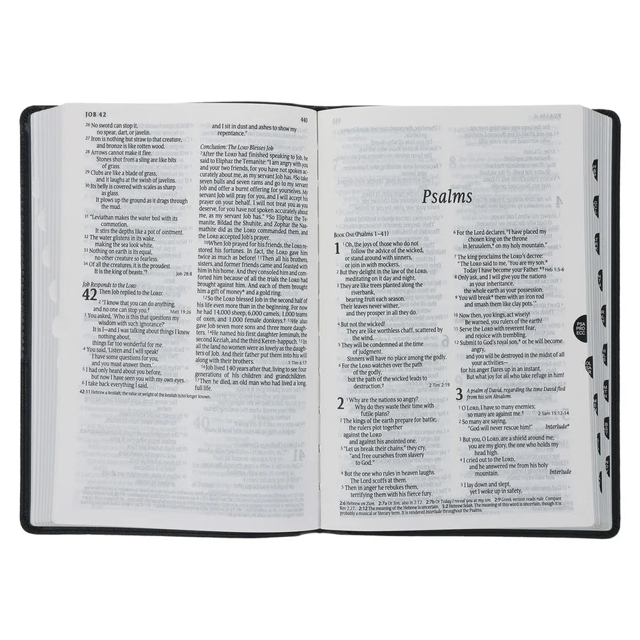 NLT Black Faux Leather Standard Bible