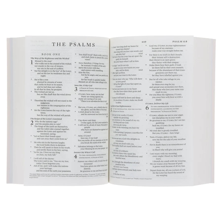 ESV Pink Paperback Compact Bible
