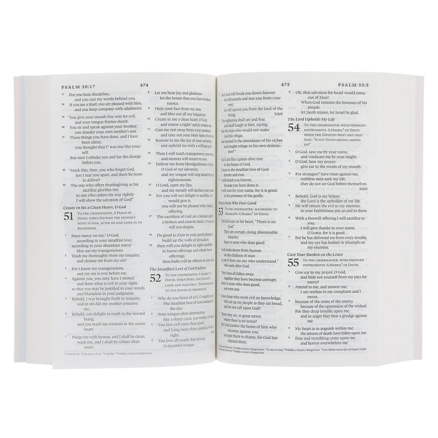 ESV Pink Paperback Compact Bible