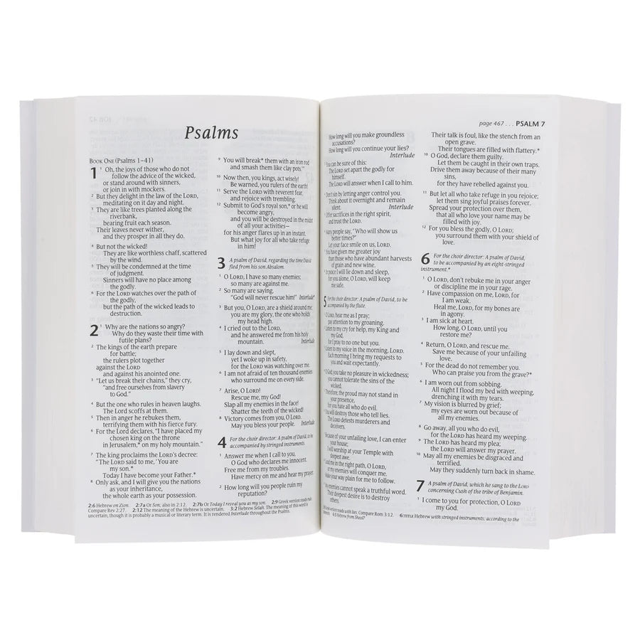 NLT Bird Paperback Compact Bible