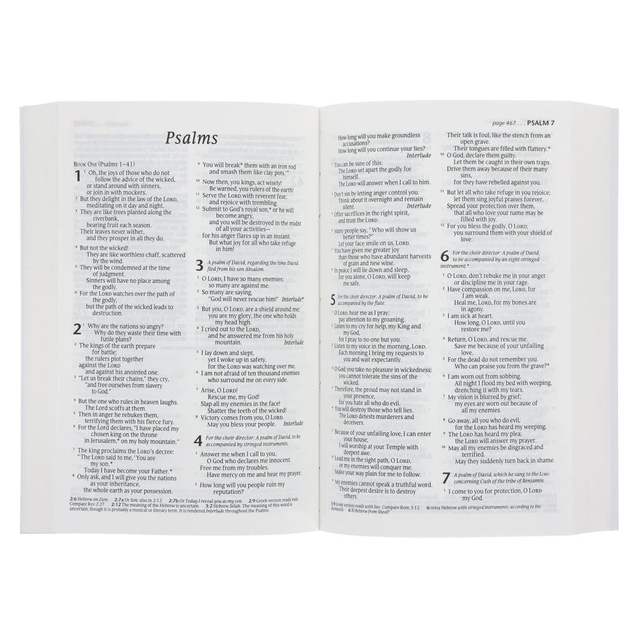 NLT Blue Paperback Compact Bible