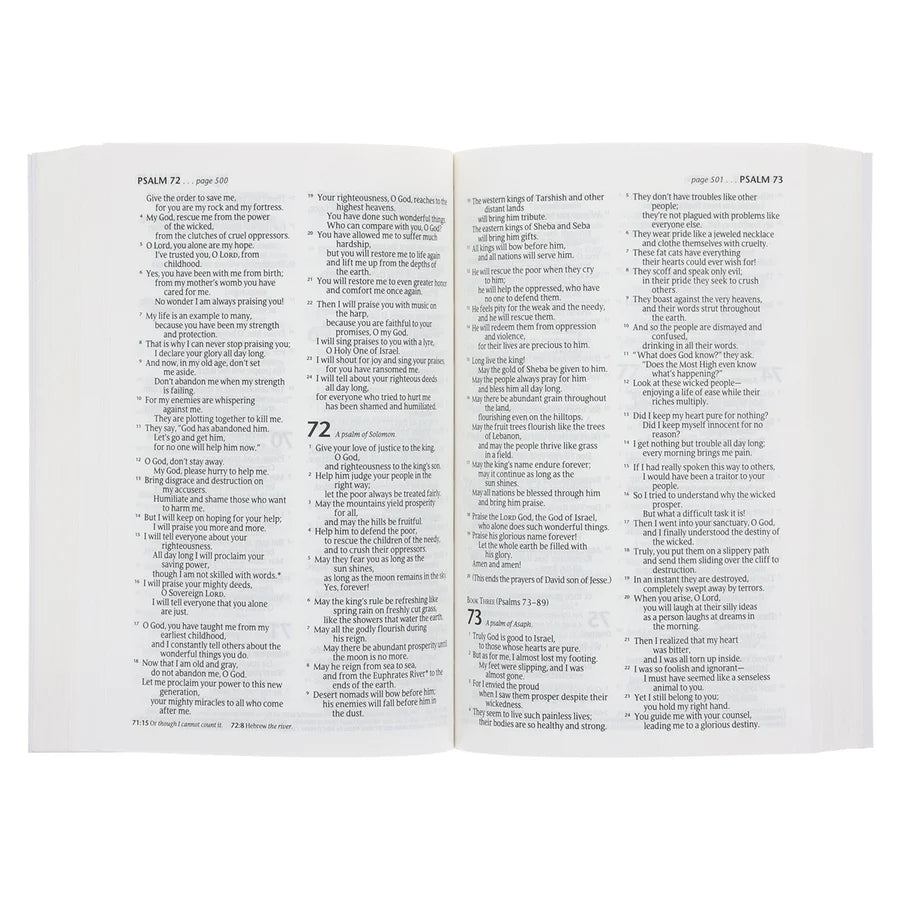 NLT Blue Paperback Compact Bible