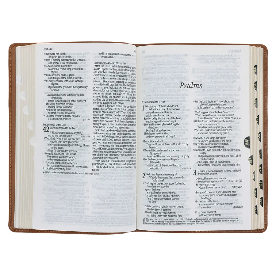NLT Tan Genuine Leather Flexcover Standard Bible with Indexing Tabs