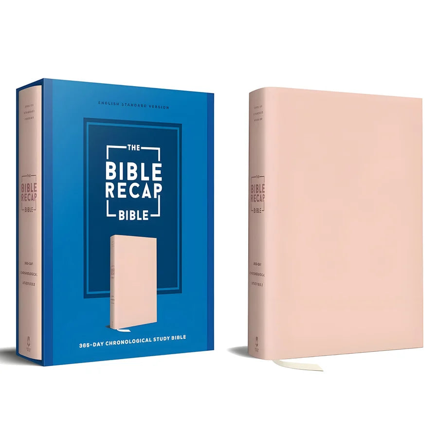 ESV Pink Imitation Leather The Bible Recap 365-Day Chronological Study Bible