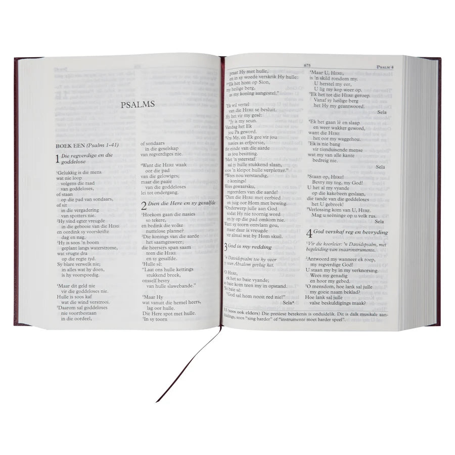 NLV Wynrooi Hardeband Grootdruk Bybel