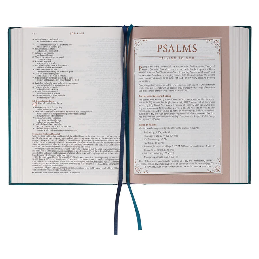 NLT The Spiritual Growth Bible Teal Hardcover
