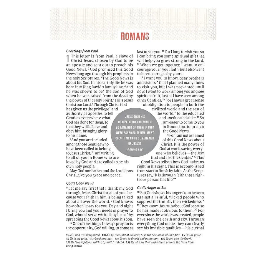 NLT Black Imitation Leather Jesus-Centered Bible Large Print