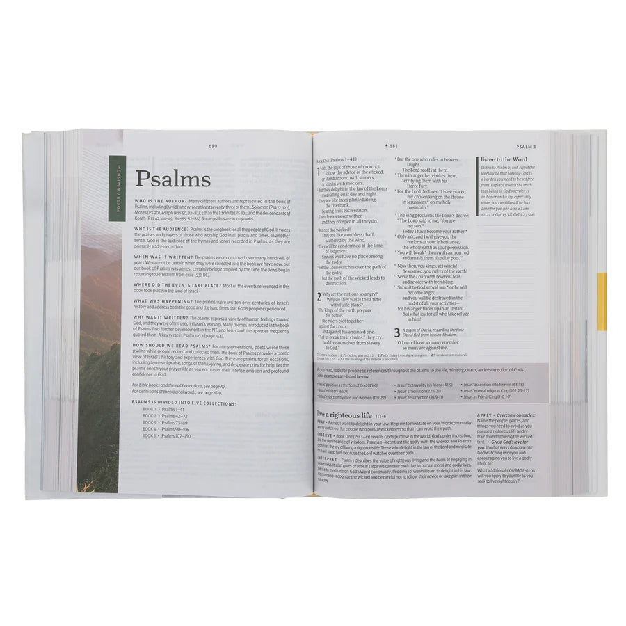 NLT Courage For Life Filament Enabled Study Bible For Men (Paperback)