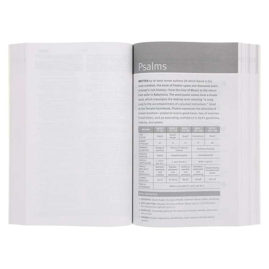 NLT Paperback Filament Enabled Daily Walk Bible
