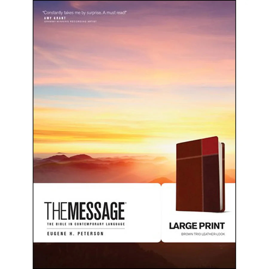 The Message Large Print Brown Trio (Imitation Leather)