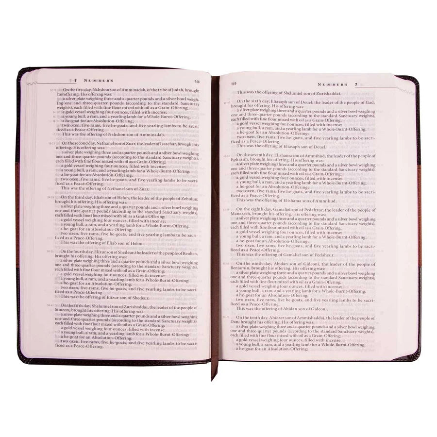 The Message Brown & Saddle Tan Two Tone Faux Leather Slimline Edition Bible