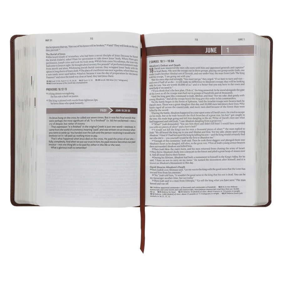 NLT Brown Flexcover Faux Leather Everyday Devotional Bible for Men