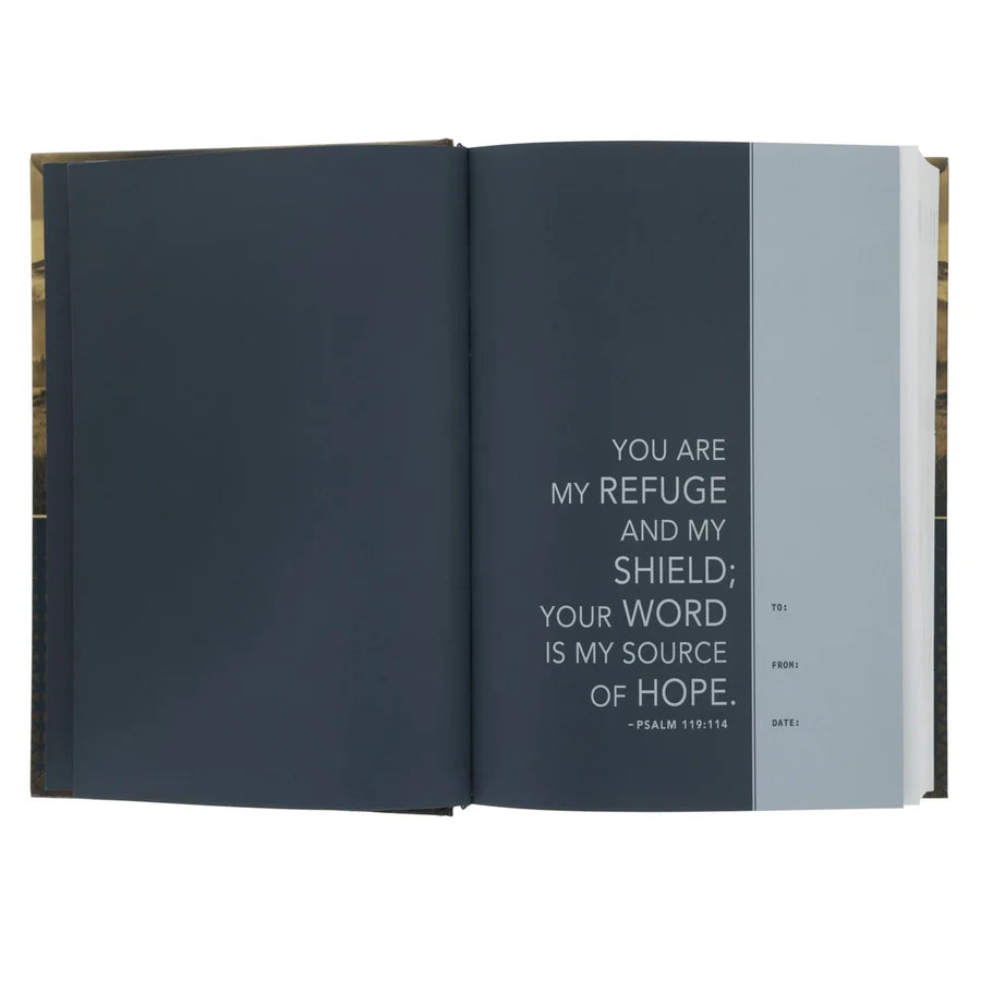 NLT Landscape Hardcover Everyday Devotional Bible for Men
