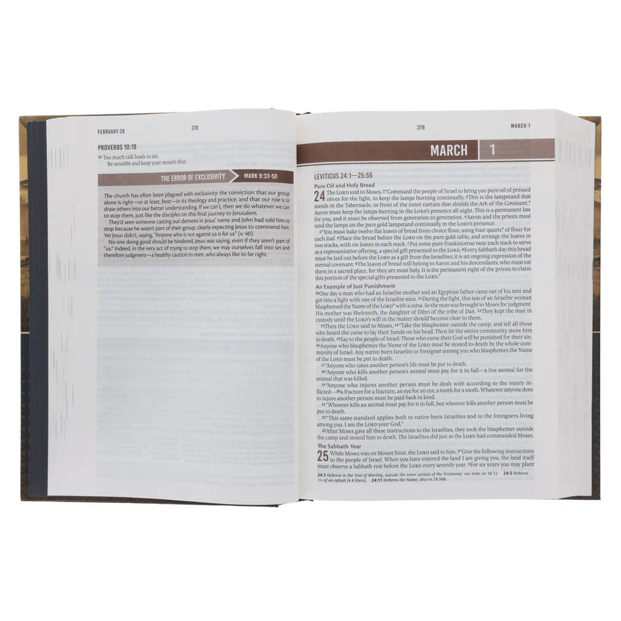 NLT Landscape Hardcover Everyday Devotional Bible for Men