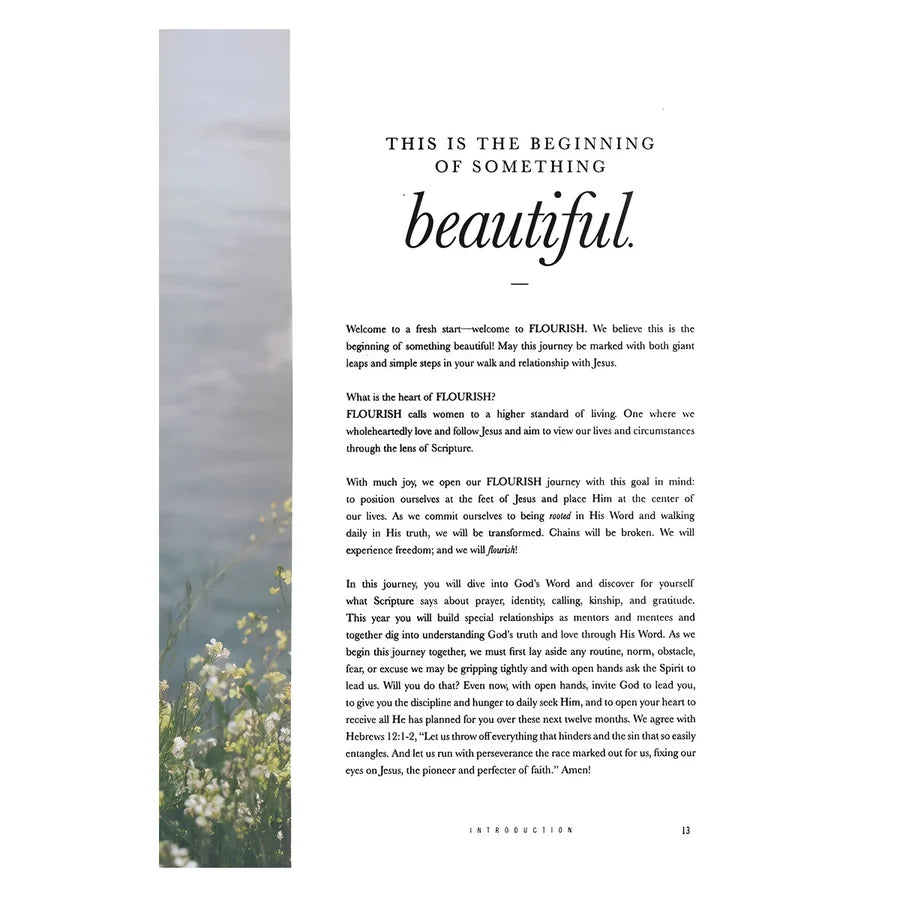 Flourish: A Mentoring Journey - Year One (Spiral-Bound)