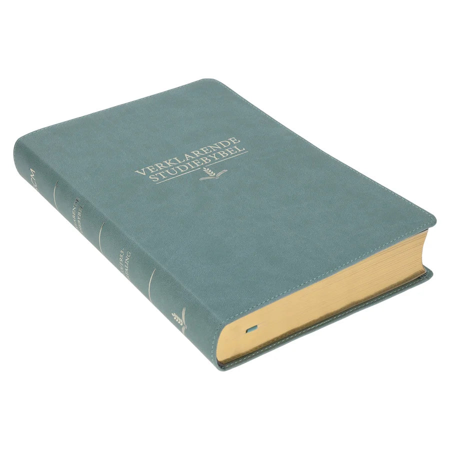 Afrikaans 1933/1953 Vertaling Blougroen Kunsleer Verklarende Studiebybel