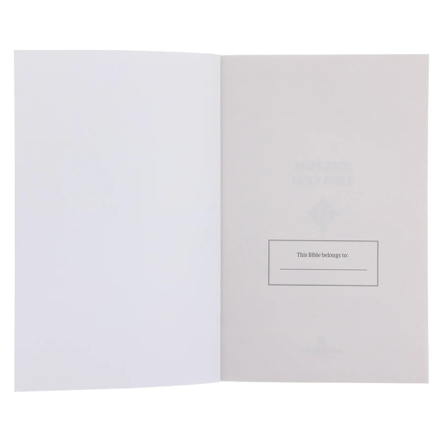 Amplified Grey Paperback Economy Edition Bible