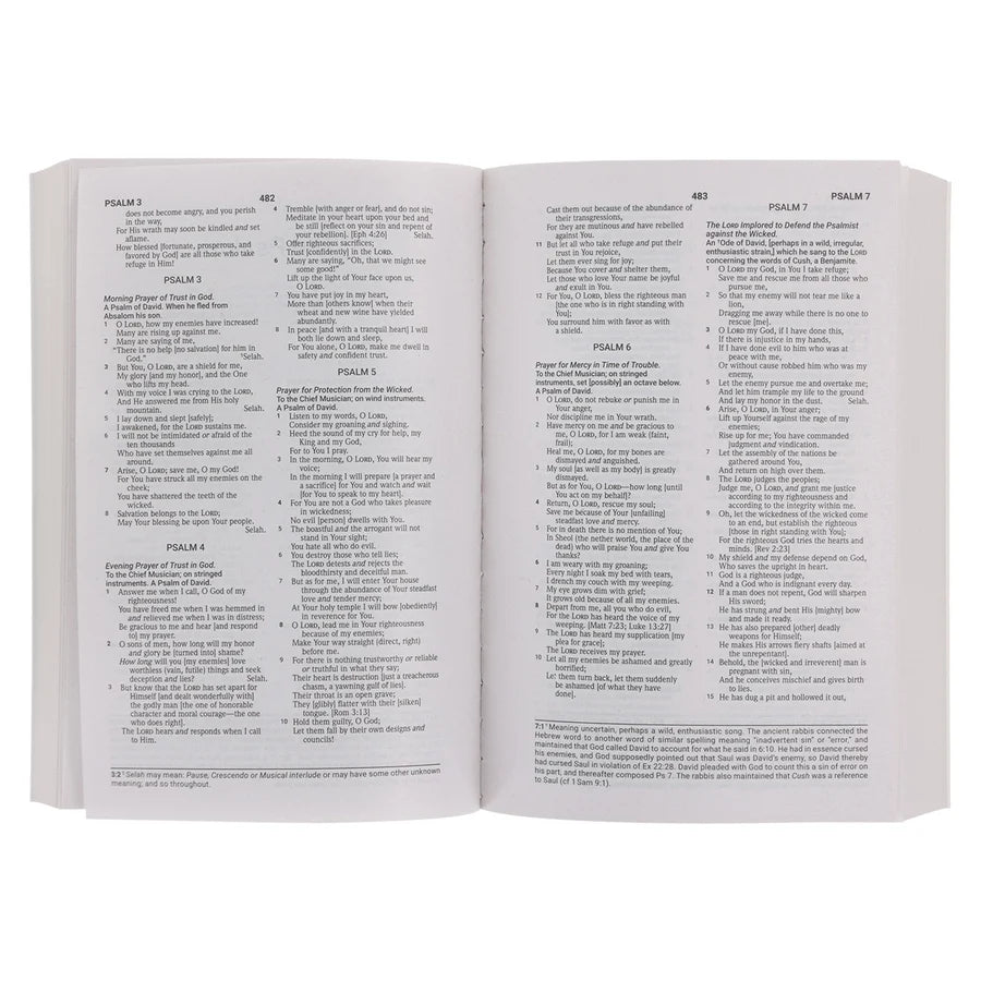 Amplified Grey Paperback Economy Edition Bible