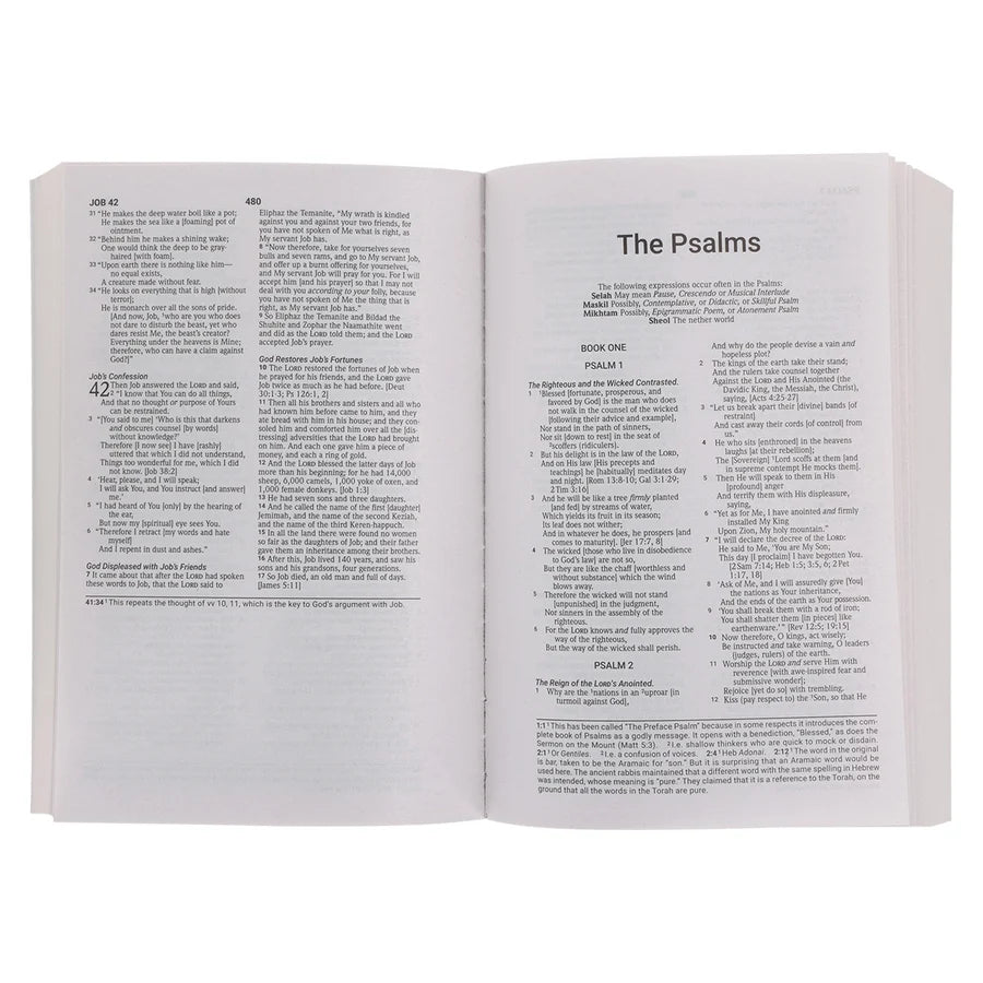Amplified Black Paperback Economy Edition Bible