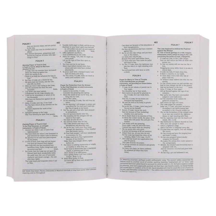 Amplified Wildflowers Paperback Economy Edition Bible