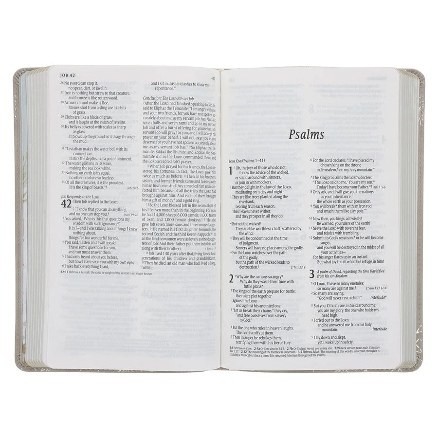 NLT Tiger Flexcover Faux Leather Baby's First Bible