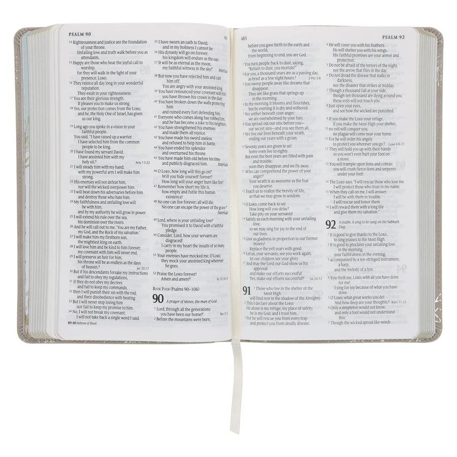 NLT Tiger Flexcover Faux Leather Baby's First Bible